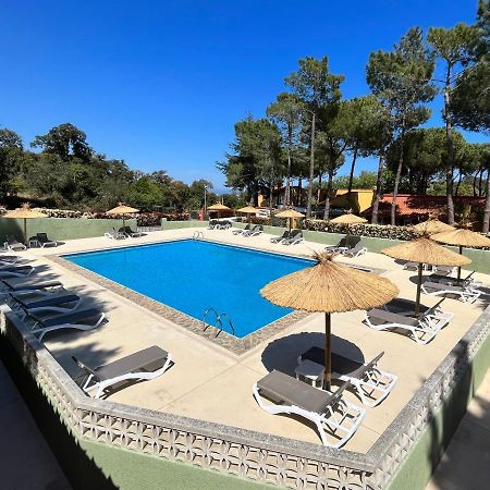 Domaine Des Mimosas Apartamento Argelès-sur-Mer Exterior foto